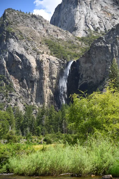 DSC_4356 (Large).JPG